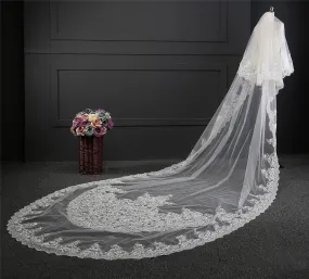 Voiles de Mariage 2 couches Bord en dentelle Tulle Voiles de mariée cathédrale Appliqué TS9004