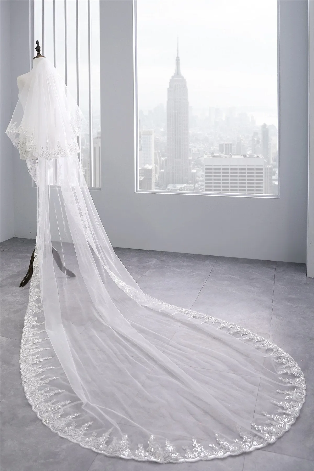 Voiles de Mariage 2 couches Tulle Bord en dentelle Voiles de mariée chappelle Appliqué TS91038